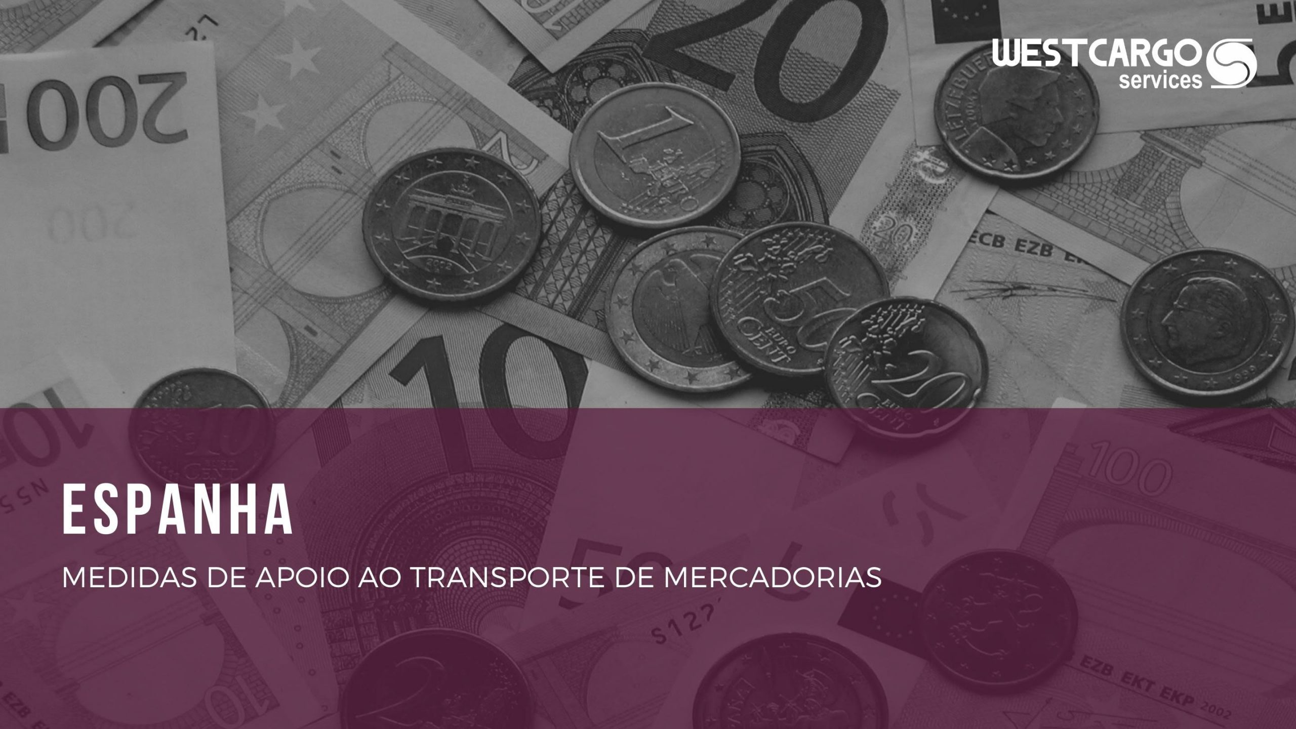 ESPANHA – Medidas de Apoio ao Transporte de Mercadorias